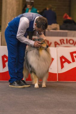 22 uluslararası köpek şovu Girona 2018, İspanya