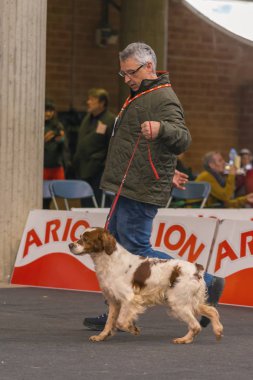22 uluslararası köpek şovu Girona 2018, İspanya
