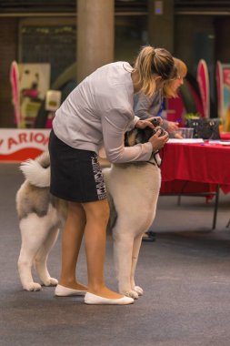 22 uluslararası köpek şovu Girona 2018, İspanya