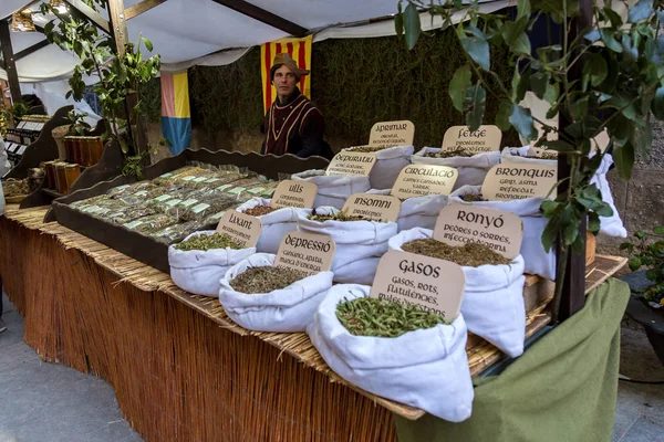 Festival del mercado medieval en el pueblo español de Calonge — Foto de Stock