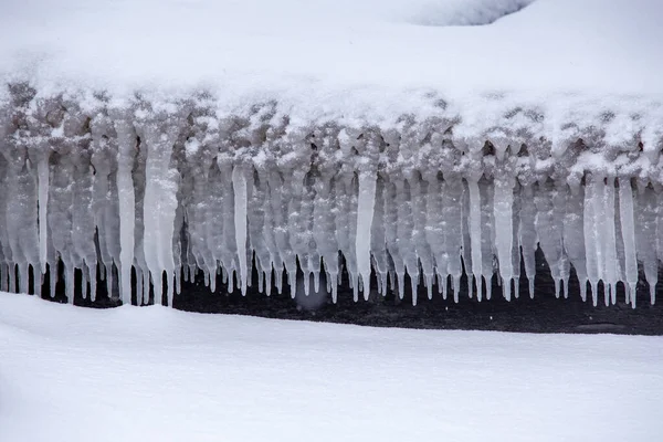 Winter still life with icicles — ストック写真