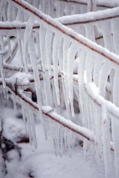 Natura morta invernale con ghiaccioli — Foto Stock