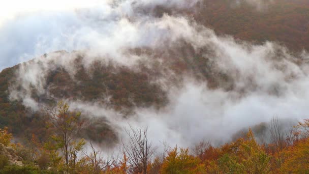 Landschaftsaufnahmen Über Montseny Mountains Katalonien Von Spanien — Stockvideo