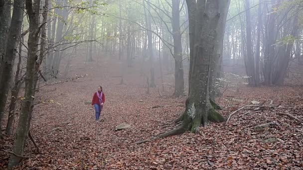 Mujer Mediana Edad Caminando Bosque Otoño Cámara Lenta — Vídeos de Stock