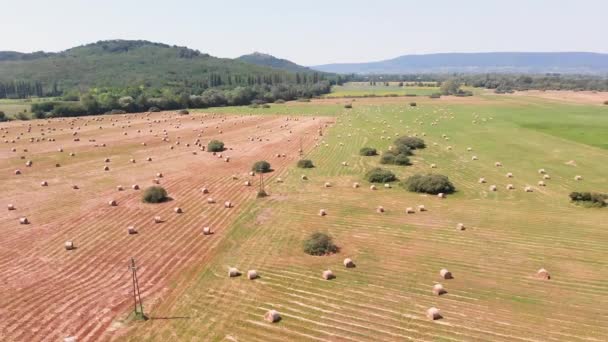 空中ドローン映像 ハンガリーの牧草地の干し草の山 — ストック動画