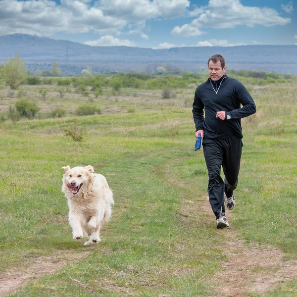एक तरुण माणूस मेडॉवर आपल्या सोनेरी रीटरीव्हर कुत्र्यासह धावत आहे — स्टॉक फोटो, इमेज