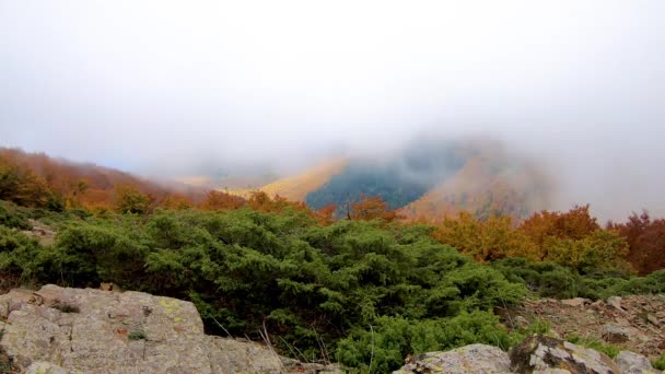 Imágenes Lapso Tiempo Con Nubes Sobre Las Montañas Del Montseny — Vídeo de stock