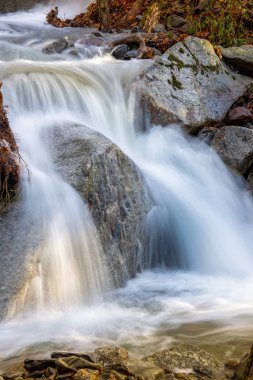 İspanya 'nın Montseny dağında geniş bir dağ deresi