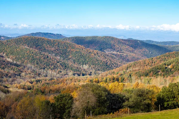 Kolorowy jesienny las w hiszpańskiej górze Montseny — Zdjęcie stockowe