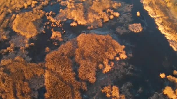 Paisaje Aéreo Invierno Sobre Estanque Congelado Luz Del Atardecer — Vídeo de stock