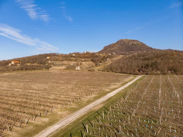 Szép táj a magyar vulkánból. Híres bortermelő régió — Stock Fotó