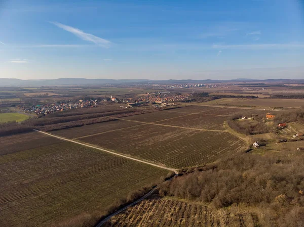 Schöne ungarische Landschaft, berühmter Wein produziert region.Reihen von Weinreben. — Stockfoto