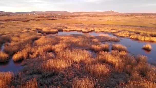 Aerial Winter Landscape Frozen Pond Sunset Light — Stock Video