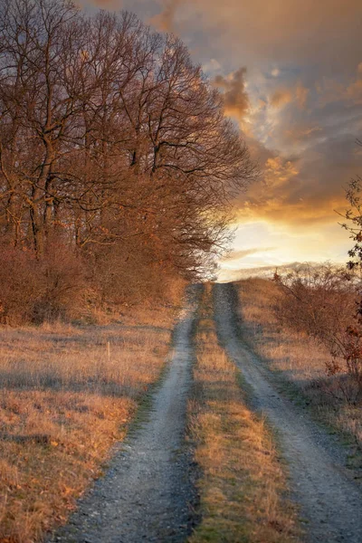 Nice pathway in a sunset light — Stock Photo, Image