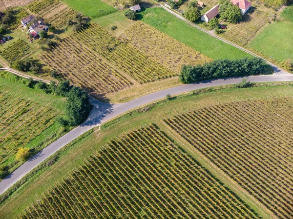 Сільськогосподарський ландшафт в Угорщині — стокове фото
