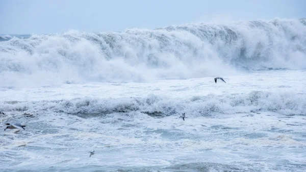 Grandi onde sull'oceano in una fredda giornata invernale nuvolosa. — Foto Stock