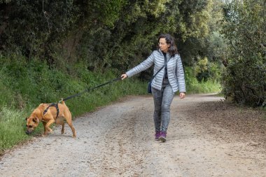 Kahverengi köpekli güzel kız
