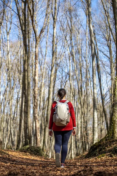 Pretty woman walking in the beech forest at springtime — Stock Photo, Image