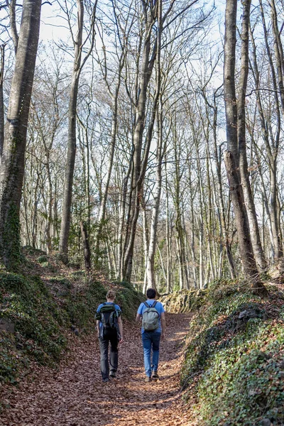 Paar Wandelingen Het Bos Een Zonnige Dag — Stockfoto