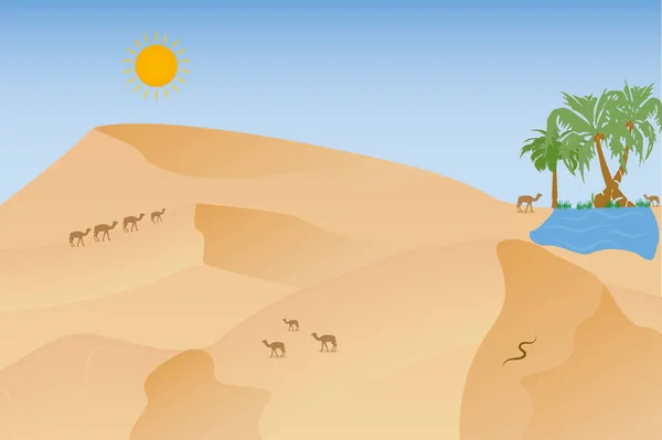 Paisaje Desértico Africano Caliente Con Camellos Dunas — Vector de stock