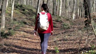 Sırt çantalı kadınlar ilkbaharda ormanda yürürler. 