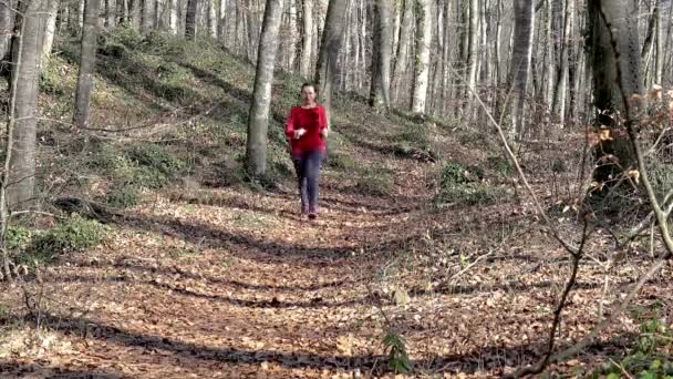 Mooie Spaanse Vrouwen Rennen Het Bos Lente — Stockvideo