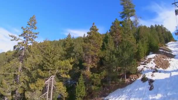 Sosnowy Las Terenie Narciarskim Nagrania Wyciągu Narciarskiego — Wideo stockowe