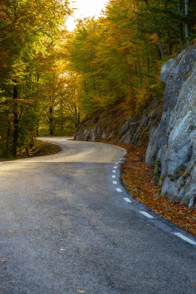 Carretera Sobre Bosque Hayas Otoñales Montseny Zona Parque Natural Cataluña — Foto de Stock