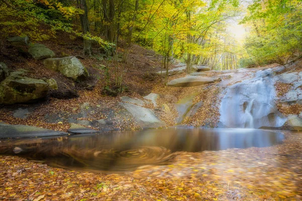 Floresta Faia Agradável Outono Espanha Com Pequeno Riacho Montseny Montanha — Fotografia de Stock