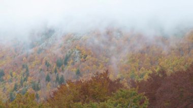 Montseny 'deki İspanyol dağından sonbahar manzarası. Bulutlar ve renkli ormanlar. 