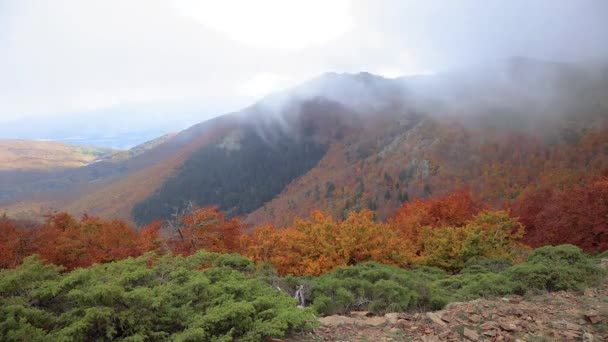 Imágenes Lapso Tiempo Con Nubes Sobre Las Montañas Del Montseny — Vídeo de stock