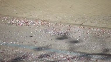 Rüzgarlı bir günde, kasırga caddede konfeti savurur, ağır çekimde.