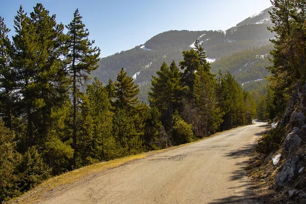 Empty Road Spanish Pyrenees Mountain — Stock Photo, Image