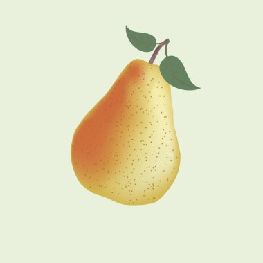 Gerçekçi sarı armut meyve vektörü sembolü