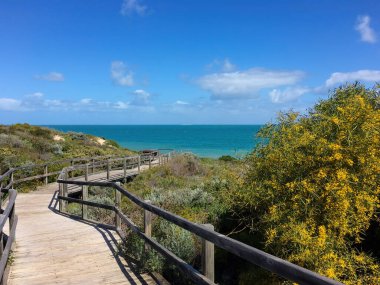 Küçük tahta köprü güneşli bir günde Batı Avustralya 'da kıyıya çıkar.