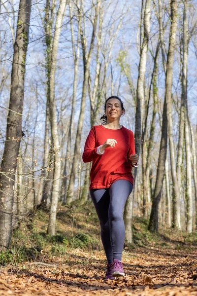 秋の森の中をジョギングするスペイン人女性 — ストック写真