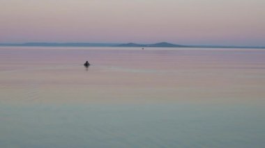 Macaristan 'daki Balaton gölünde vahşi ördekle güzel bir gün doğumu ışığı. 