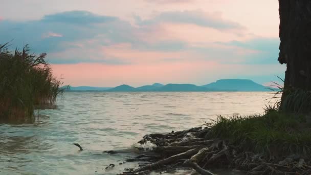 Fin Soluppgång Ljus Över Sjön Balaton Ungern Fjärran Gamla Vulkaner — Stockvideo