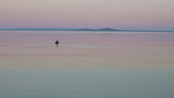 Nice Matahari Terbit Cahaya Dengan Bebek Liar Danau Balaton Hungaria — Stok Video