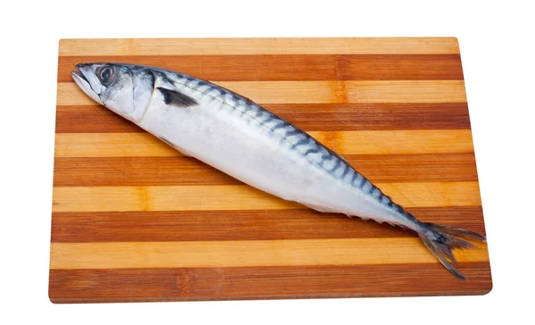 Peixe de cavala fresco, não cozido, deitado numa tábua de madeira e cozinha. Cozinhar comida do mar . — Fotografia de Stock