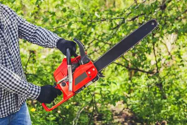 A man - Lumberjack in a black and white checkered shirt sawing a chainsaw — Stock Photo, Image