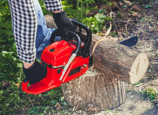 A man - Lumberjack in a black and white checkered shirt sawing a chainsaw — Stock Photo, Image