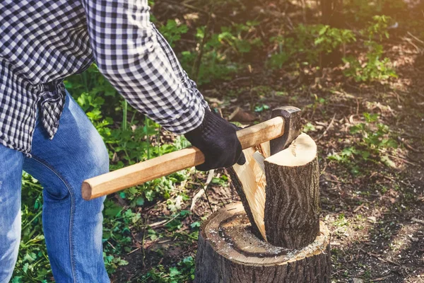 男性的伐木工人在黑白相间的格子衬衫，用斧子砍一棵树 — 图库照片