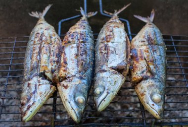 Fried ızgara balık uskumru doğada üzerinde. 