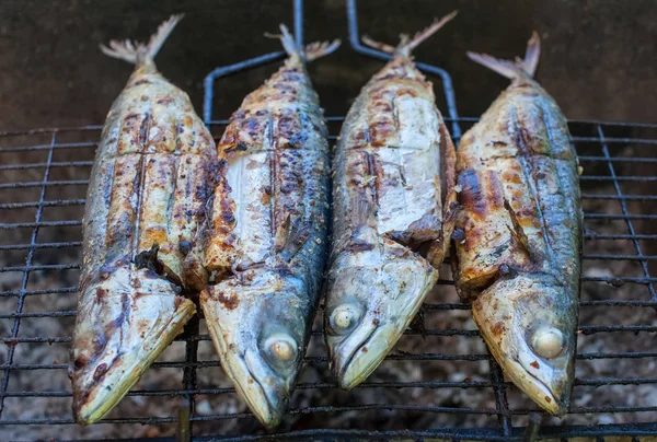 Fried ızgara balık uskumru doğada üzerinde. 