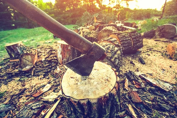 站在木制的老 破解树桩上砍过木材背景 — 图库照片