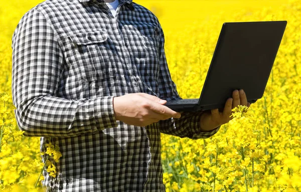 Male farmer - businessman holding a laptop on a field of yellow blooming canola, close-up. Agriculture the cultivation of crops.