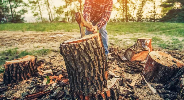 Male Lumberjack Black Red Plaid Shirt Chopping Tree Forest — Stock Photo, Image