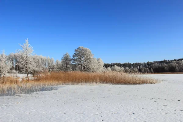 Зимний пейзаж, регион Мазуриен, Польша — стоковое фото