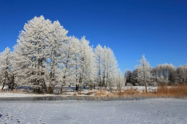 Zamrzlé jezero. Zimní krajina — Stock fotografie